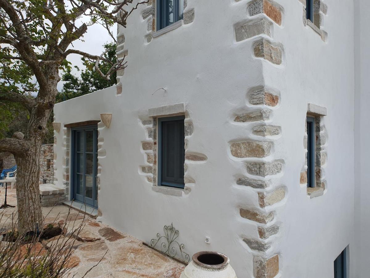 Pyrgos - Traditional House At Kaloxilos, Naxos Halkío Kültér fotó